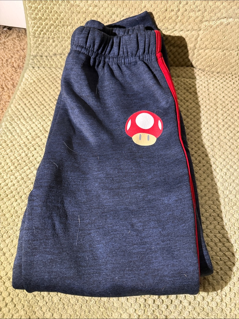 Kids Navy Joggers with Red Stripe and Mushroom Graphic